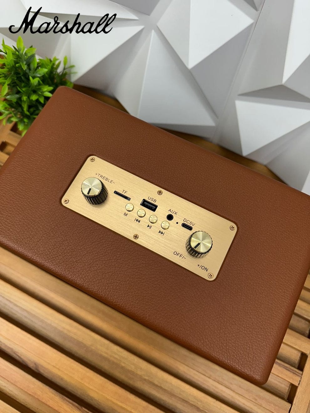 Marshall M18 MAX Speaker